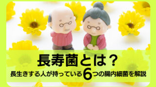 長寿菌とは？長生きする人が持っている６つの腸内細菌を解説